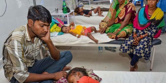 21 deaths reported in Assam due to Japanese Encephalitis