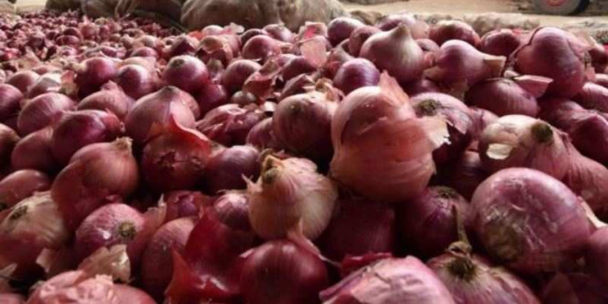 AAP Leader Asks Center to Provide 10 Trucks of Onion