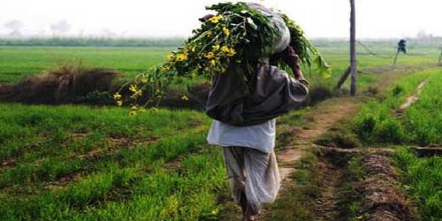 #JHARKHAND मुख्यमंत्री कृषि आशीर्वाद योजना के पंजीयन से भी मिलेगा पीएम किसान सम्मान योजना का लाभ