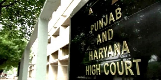 इंटरनेशनल एयरपोर्ट के निकट अवैध निर्माण पर हाईकोर्ट का रुख सख्त, फरमान- छह हफ्ते में गिराओ