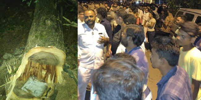 आरे में विरोध प्रदर्शन के बीच 800 से ज्यादा पेड़ों पर चली आरी, धारा 144 लागू