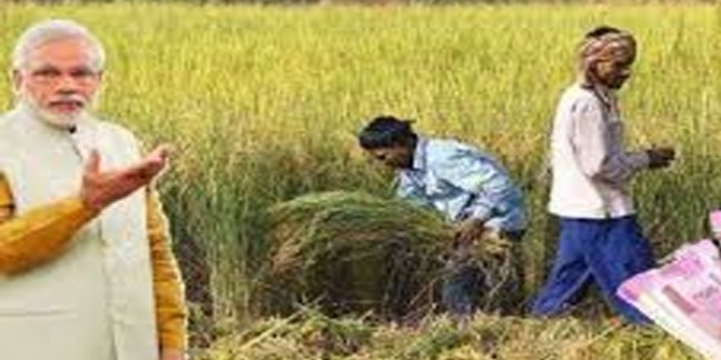 पीएम किसान निधि योजना - प्रदेश के 55 लाख किसानों में से 17 लाख किसानों के आवेदन बाकी