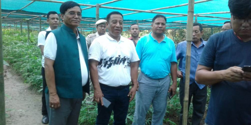 Collective Effort Can Achieve CM's Green Manipur Mission Sooner: Forest Minister