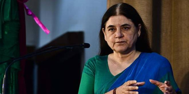 बिजली विभाग की शिकायतों पर चढ़ा मेनका गांधी का पारा, एसडीओ को जमकर लगाई लताड़