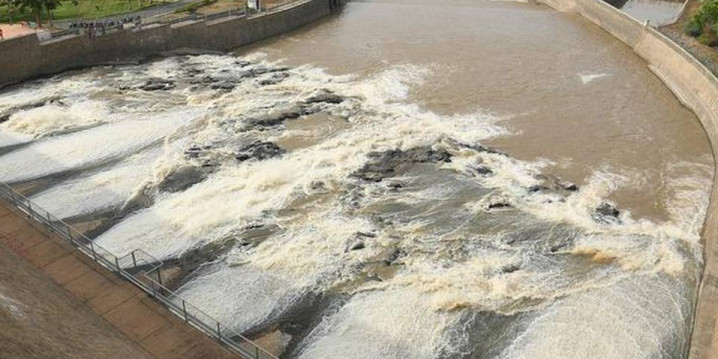 Direct sowing to fetch farmers incentive