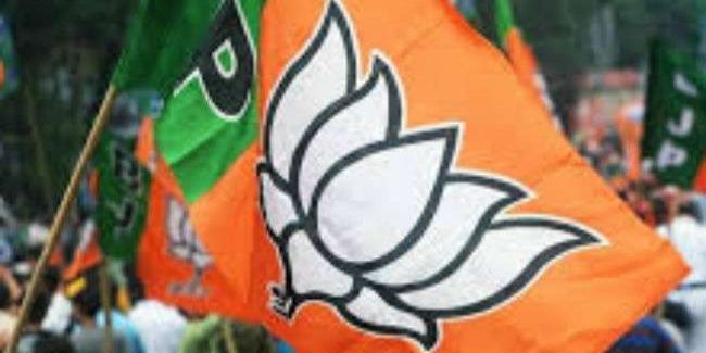 ऑडियो वायरल कर विधायक को बदनाम करने की कोशिश : भाजपा