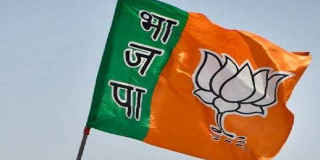 संगठन चुनाव में नेतृत्व की समस्या को सुलझाएगी मध्यप्रदेश भाजपा