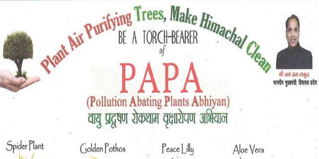 पापा ने रोका प्रदूषण, रोग भी भगाया; ऑक्सीजन की मात्रा में भी बढ़ोतरी