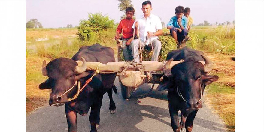 Gujarat Congress chief Paresh Dhanani protests fine under Motor Vehicles Act