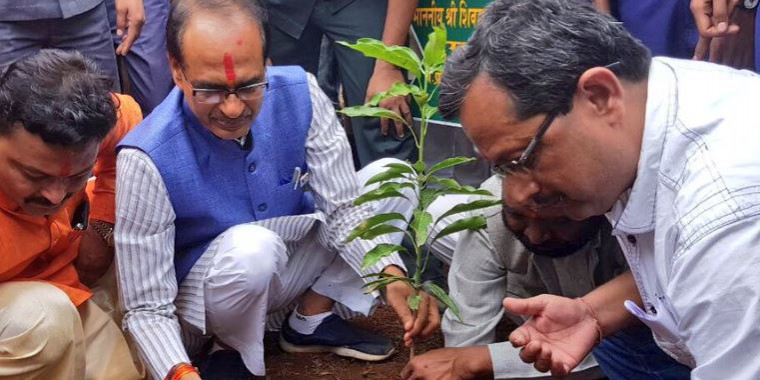 शिव राज में प्लांटेशन की कमलनाथ सरकार कराएगी जांच, 1 दिन में 7 करोड़ पौधे लगाने का दावा
