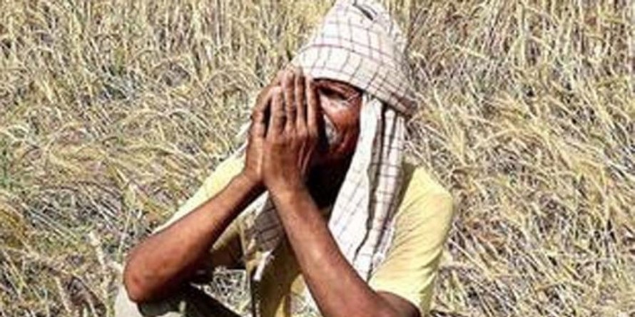 राजस्थान के निराश 'किसानों' की संकटमोचक बनी मोदी सरकार, जानिए कैसे