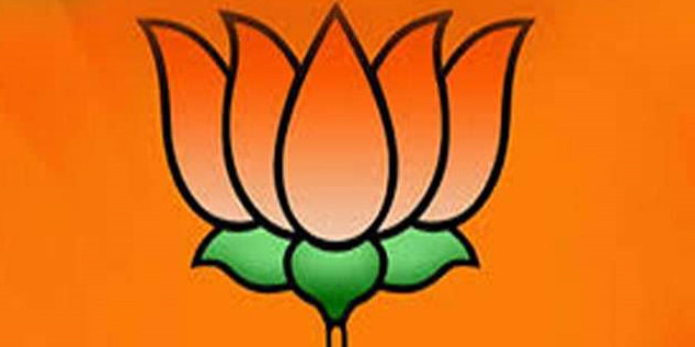 भाजपा प्रत्याशी घोषित होने से पहले धवल सिंह झाला का नामांकन का पोस्टर जारी