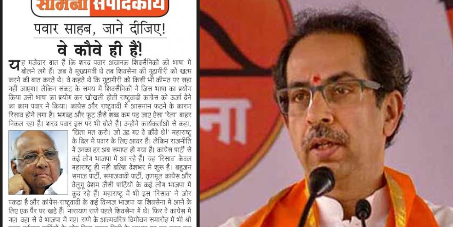 ‘चिंता मत करो, जो उड़ गए वे कौवे थे! शरद पवार भी शिवसेना की भाषा बोलने लगे हैं: सामना