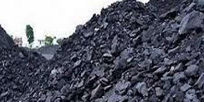सिंगाजी और सारणी संयंत्र के लिए सिर्फ धुला कोयला मंगाएगी मध्यप्रदेश सरकार