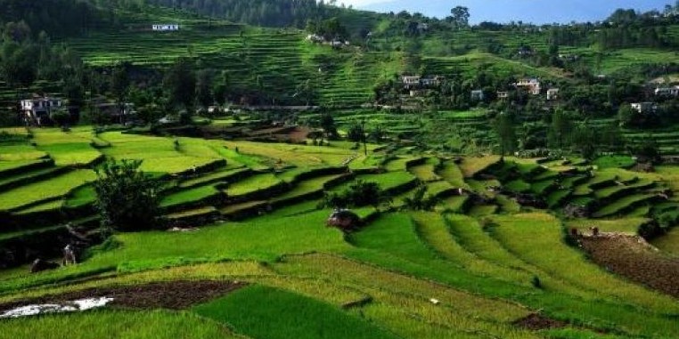 कैबिनेट का ये फैसला उत्तराखंड के किसानों के लिए लाया खुशखबरी, सरकार ने दी बड़ी राहत