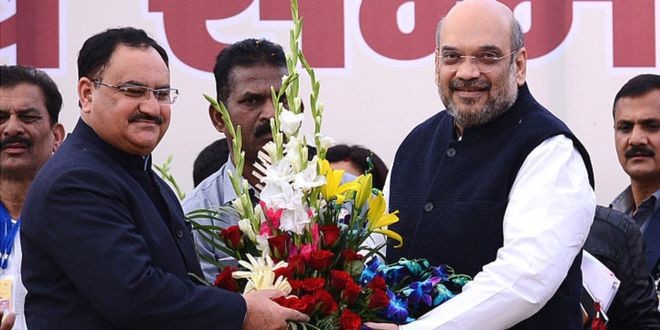 जेपी नड्डा को अमित शाह ने महज़ कार्यकारी अध्यक्ष ही क्यों बनाया