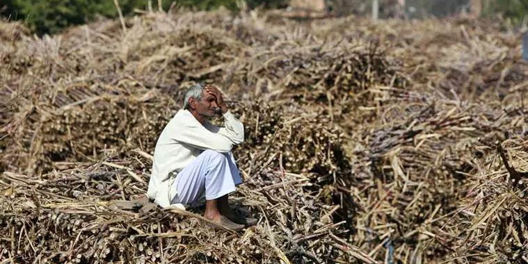 12,021 farmer suicides in Maharashtra in four years