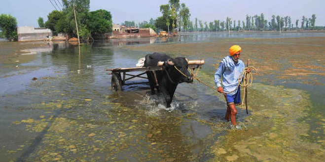 Central team arrives today; state pegs loss at Rs 1,216 cr