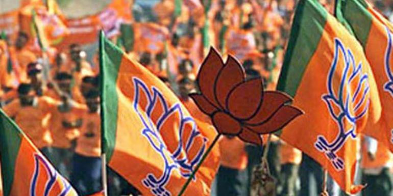 Delhi BJP likely replace over dozen office bearers before assembly polls