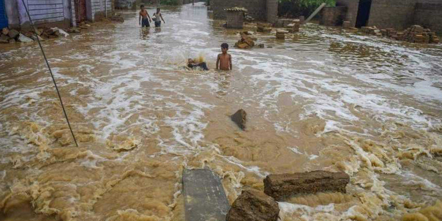Punjab govt announces free wheat seed to flood-hit farmers