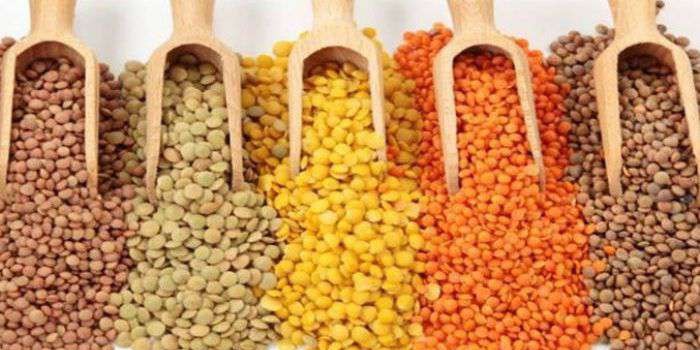 राजस्थान मंडी भाव: जीरा 910 रुपए, इसबगोल 98 रुपए टूटा, यहां देखें- ताजा भाव