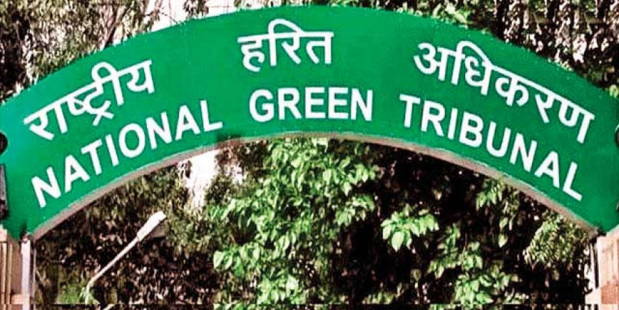 जेपी प्लांट में जमा कचरा निगम कराये साफ : एनजीटी