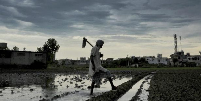 Gujarat sees upsurge in kharif sowing, water storage post heavy rains