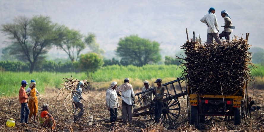 पूर्वांचल के गन्ना किसानों की सुध क्यों नहीं ले रही है सरकार?