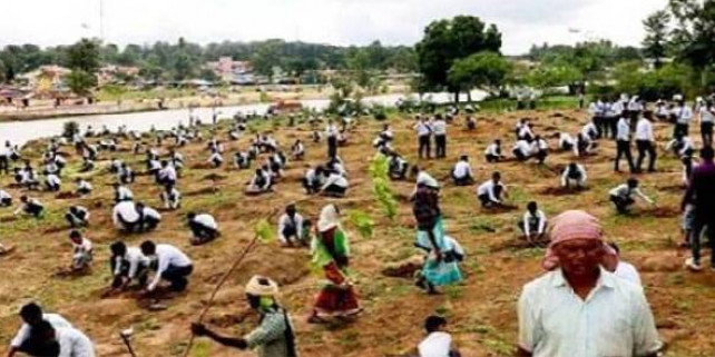नर्मदा पौधारोपण घोटाला: वन मंत्री ने विभाग के अतिरिक्त मुख्य सचिव से कई अधिकार छीने