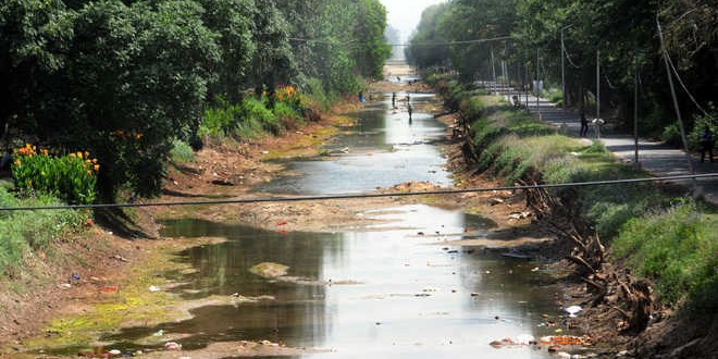 Sangrur farmers want canals revived, to move High Court