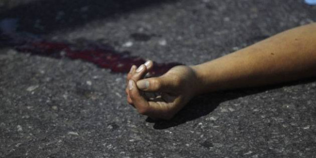 DMK leader, husband, maid killed in Tamil Nadu