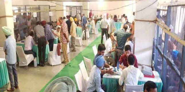 सनी देयाल व हरसिमरत-सुखबीर आगे, कांग्रेस को 9, राजग को तीन सीटों पर बढ़त