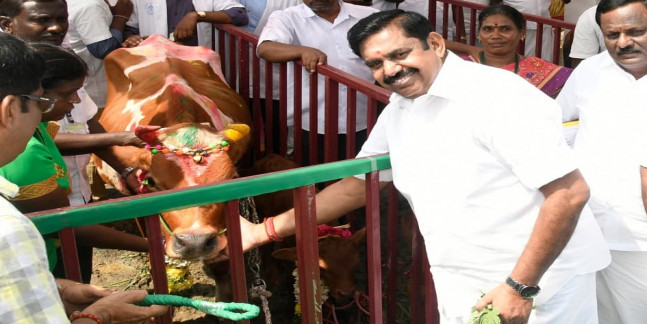 People of Nanguneri and Vikravandi have given 'halva' to Stalin: Edappadi K Palaniswami