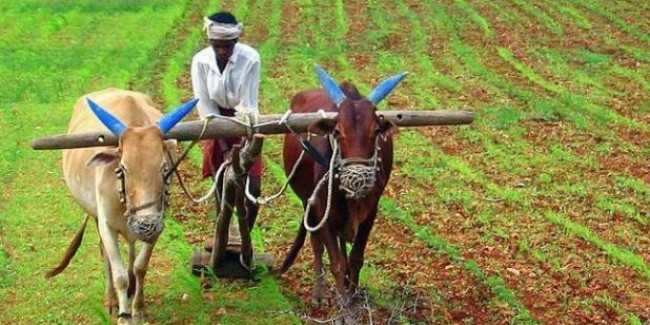 कर्नाटक: 13,000 से ज्यादा किसानों के खातों से गायब हुई कर्ज माफी की रकम
