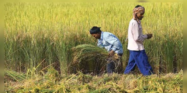 किसानों की आमदनी बढ़ाने के लिए मोदी सरकार इस नियम में कर सकती है बदलाव