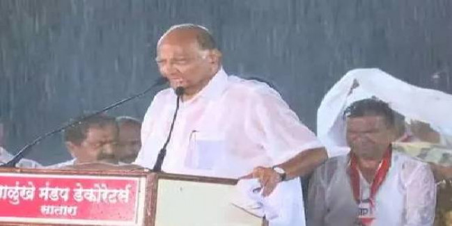 शरद पवार ने भारी बारिश के बीच चुनावी रैली को किया संबोधित, मानी NCP की 'गलती'