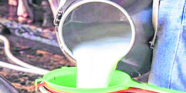 Maharashtra farmers distribute free milk for hike in base price