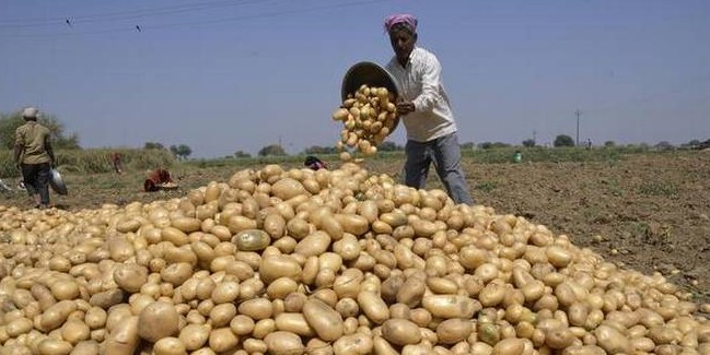 गुजरात में Pepsico बनाम किसान: आलू किसानों के समर्थन में आई सरकार