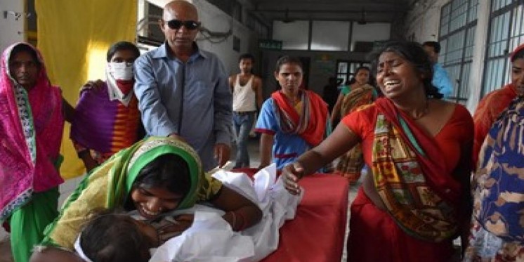 Japanese Encephalitis claims six lives in Assam’s Jorhat, ten others undergoing treatment