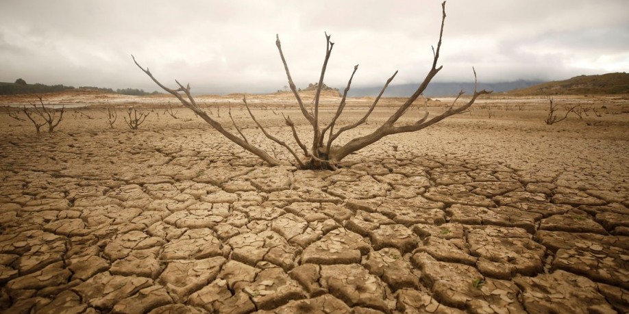 Maharashtra government planning fresh dole for drought-hit farmers