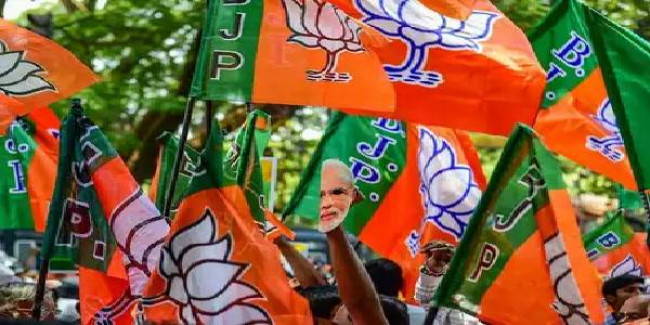 मिशन 65: झारखंड विधानसभा चुनाव के लिए बीजेपी का ये है मास्टर प्लान, इन 38 सीटों पर खास नजर