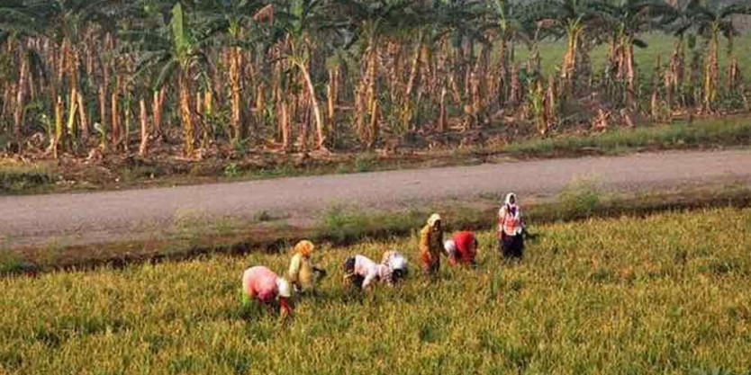Telangana farmers cry for help at officer's feet to get their land back