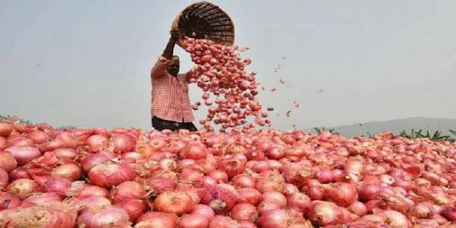 30 रुपये प्रति किलो से कम में मिल सकता है प्याज, केंद्र को लिखा गया पत्र