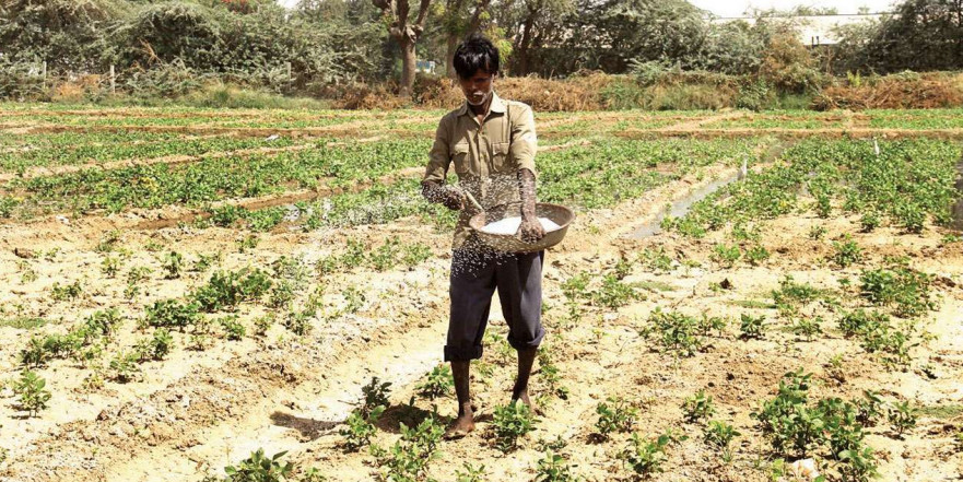 Crop insurance claim: Gujarat govt mulls corpus for farmers