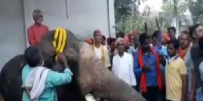पार्टी की हार पर JDU विधायक खुश, हाथी पर चढ़कर मनाया जश्न, जानें पूरा मामला