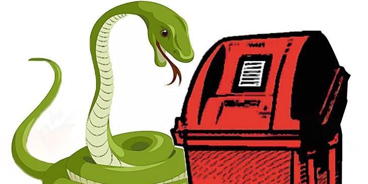 कन्नूर में VVPAT मशीन से निकला सांप, मतदान कुछ समय के लिए बाधित