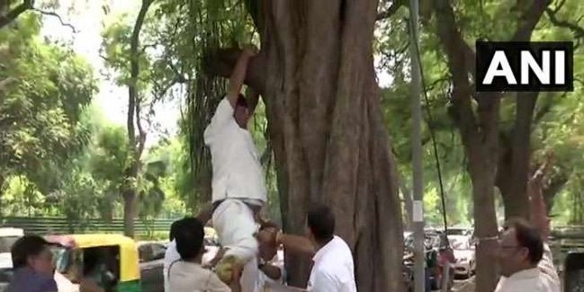 राहुल गांधी के इस्तीफे से नाराज कार्यकर्ता ने की आत्महत्या की कोशिश, दफ्तर के बाहर मची अफरातफरी
