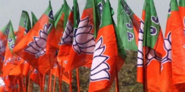 भाजपा महानगर के 11 मंडलों में चुनाव प्रभारी हुए घोषित