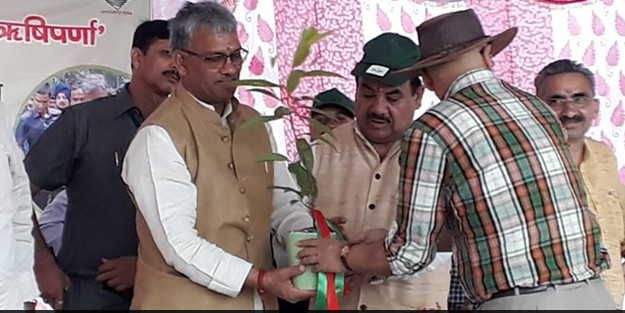 Uttarakhand Plants Over 6.25 Lakh Saplings To Celebrate Onset Of Monsoons With Plantation Drive