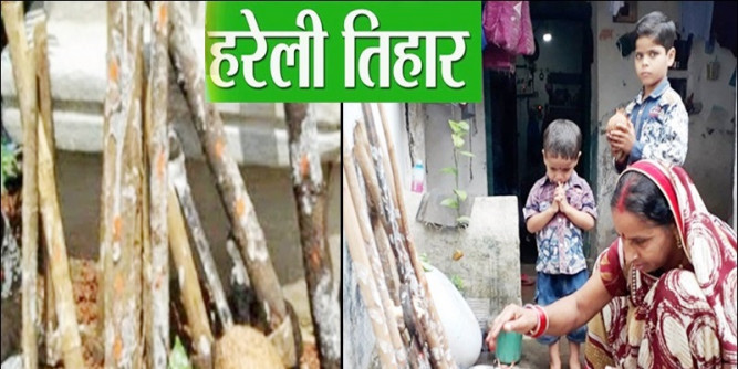 छत्तीसगढ़ में पहली बार सरकार मनाएगी हरेली का त्योहार, सीएम भूपेश कृषि यंत्रों की करेंगे पूजा